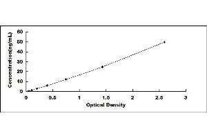 Typical standard curve (HDAC1 ELISA Kit)