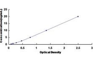 Typical standard curve (PDGFD ELISA Kit)