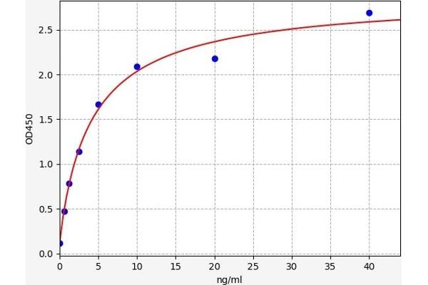 CD235a/GYPA ELISA Kit