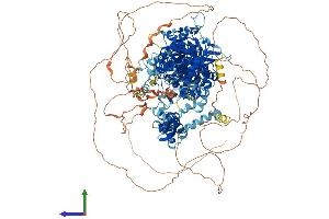 Protein Structure (PS) image for Drosha, Ribonuclease Type III (DROSHA) (AA 1-1373) protein (His tag) (ABIN7563821)
