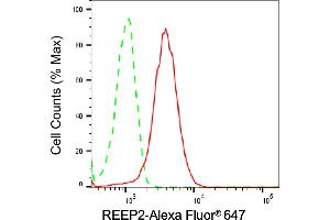 Flow cytometric analysis of REEP2 expression in HeLa cells using REEP2 antibody (ABIN7800153), 1:1,000). (REEP2 antibody)