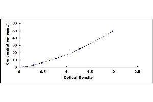 Typical standard curve (SIRT1 ELISA Kit)