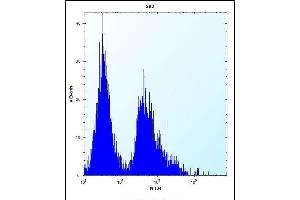 GSTT1 Antibody (N-term) (ABIN656825 and ABIN2846035) flow cytometric analysis of 293 cells (right histogram) compared to a negative control cell (left histogram). (GSTT1 antibody  (N-Term))
