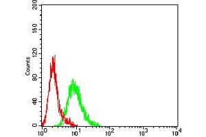 Flow Cytometry (FACS) image for anti-Runt-Related Transcription Factor 1 (RUNX1) (AA 237-337) antibody (ABIN5611238)