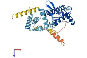 rho GTPase Activating Protein 11B (ARHGAP11B) (AA 1-267) protein (His tag)