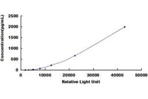 ELISA image for Vascular Endothelial Growth Factor A (VEGFA) CLIA Kit (ABIN491834)
