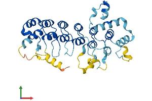 AlphaFold protein structure predicition of Mouse Recombinant Asb12 Protein, UniprotID Q9D738
