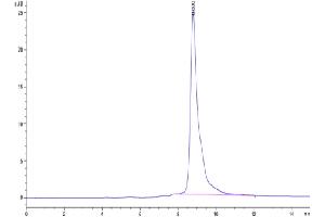 The purity of Human HGF is greater than 95 % as determined by SEC-HPLC. (HGF Protein (AA 32-728) (His tag))