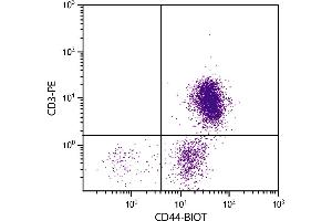 Chicken peripheral blood lymphocytes were stained with Mouse Anti-Chicken CD44-BIOT. (CD44 antibody  (Biotin))