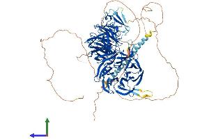 Protein Structure (PS) image for Echinoderm Microtubule Associated Protein Like 4 (EML4) (AA 1-981) protein (His tag) (ABIN7553812)