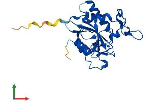 Protein Structure (PS) image for WDYHV Motif Containing 1 (WDYHV1) (AA 1-209) protein (His tag) (ABIN7558388)
