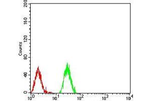 Flow cytometric analysis of Raji cells using HIST2H3C(27Ac) mouse mAb (green) and negative control (red). (Histone Cluster 2, H3c (HIST2H3C) (acLys27) antibody)