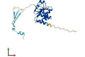 AlphaFold protein structure predicition of Mouse Recombinant Dusp19 Protein, UniprotID Q8K4T5 (DUSP19 Protein (AA 1-220) (His tag))