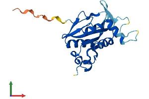 AlphaFold protein structure predicition of Human Recombinant JOSD2 Protein, UniprotID Q8TAC2 (JOSD2 Protein (AA 1-188) (His tag))