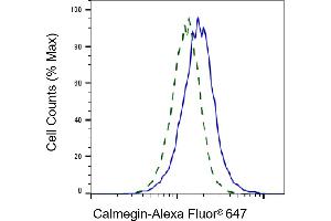 Validation of Calmegin knockdown using flow cytometry.
