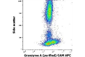 Flow cytometry intracellular staining pattern of human peripheral whole blood stained using anti-human Granzyme A (CB9) purified antibody (concentration in sample 5,0 μg/mL, GAM APC). (GZMA antibody)