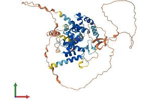 AlphaFold protein structure predicition of Human Recombinant TBC1D3F Protein, UniprotID A6NER0 (TBC1D3 Protein (AA 1-549) (His tag))