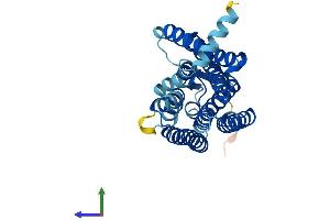AlphaFold protein structure predicition of Human Recombinant OR5W2 Protein, UniprotID Q8NH69 (OR5W2 Protein (AA 1-310) (His tag))
