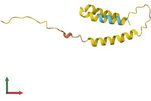 AlphaFold protein structure predicition of Human Recombinant LINC00575 Protein, UniprotID Q6W349 (C4orf11 Protein (AA 1-94) (His tag))
