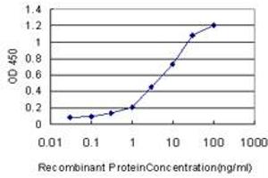 Detection limit for recombinant GST tagged CIDEB is approximately 0. (CIDEB antibody  (AA 3-110))