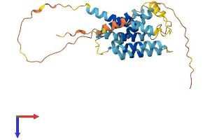 Insulin Induced Gene 1 (INSIG1) (AA 1-277) protein (His tag)
