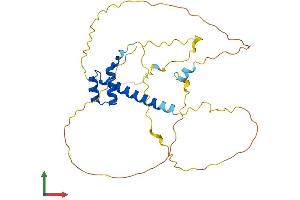Protein Structure (PS) image for Msh Homeobox 1 (MSX1) (AA 1-303) protein (His tag) (ABIN7562857)