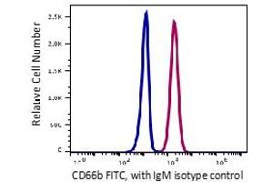 Flow Cytometry (FACS) image for anti-Carcinoembryonic Antigen-Related Cell Adhesion Molecule 8 (CEACAM8) antibody (FITC) (ABIN6253063) (CEACAM8 antibody  (FITC))