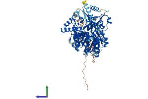 AlphaFold protein structure predicition of Human Recombinant DHX32 Protein, UniprotID Q7L7V1 (DHX32 Protein (AA 1-743) (His tag))