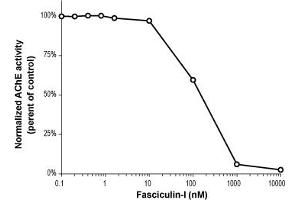 Fasciculin-I potently inhibits Acetylcholinesterase (AChE) activity.