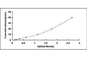 Dipeptidyl-Peptidase 4 (DPP4) ELISA Kit