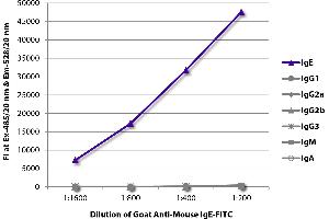 FLISA plate was coated with purified mouse IgE, IgG1, IgG2a, IgG2b, IgG3, IgM, and IgA. (Goat anti-Mouse IgE Antibody (FITC))