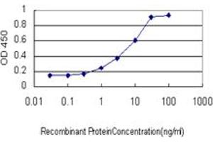Detection limit for recombinant GST tagged ETV1 is approximately 1ng/ml as a capture antibody. (ETV1 antibody  (AA 148-257))