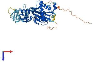 Actin-Related Protein 10 Homolog (ACTR10) (AA 1-417) protein (His tag)