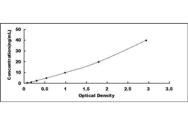 SPON1 ELISA Kit