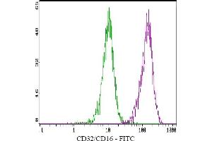 Flow Cytometry (FACS) image for anti-CD32/CD16 (CD32/CD16) antibody (FITC) (ABIN781509) (CD32/CD16 antibody  (FITC))