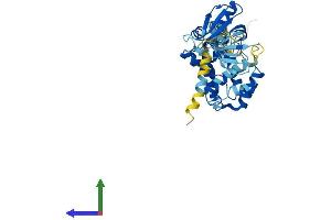 AlphaFold protein structure predicition of Human Recombinant CYTH2 Protein, UniprotID Q99418 (Cytohesin 2 Protein (CYTH2) (AA 1-400) (His tag))