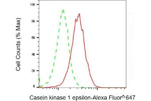 Flow cytometric analysis of Casein kinase 1 epsilon expression in HT- cells using Casein kinase 1 epsilon antibody ( (ABIN7797881), 1:2,000). (CK1 epsilon antibody)