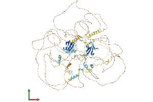AlphaFold protein structure predicition of Human Recombinant COBL Protein, UniprotID O75128 (COBL Protein (AA 1-1261) (His tag))