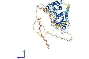 AlphaFold protein structure predicition of Mouse Recombinant Pkmyt1 Protein, UniprotID Q9ESG9