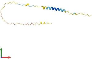 Protein Structure (PS) image for Brain Expressed, X-Linked 4 (BEX4) (AA 1-120) protein (His tag) (ABIN7552700)
