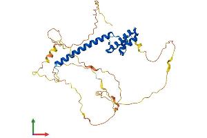 AlphaFold protein structure predicition of Human Recombinant NEUROD6 Protein, UniprotID Q96NK8