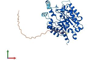 AlphaFold protein structure predicition of Mouse Recombinant Plcxd1 Protein, UniprotID Q8CHS4