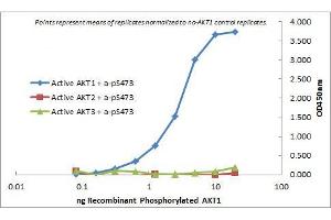 ELISA of Mouse Monoclonal anti-AKT1 antibody. (AKT1 antibody  (Internal Region) (Biotin))