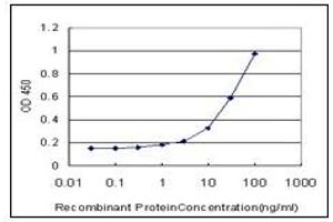 ELISA image for anti-Vitamin D Receptor (VDR) (AA 1-428) antibody (ABIN614675) (Vitamin D Receptor antibody  (AA 1-428))