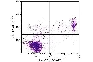 BALB/c mouse splenocytes were stained with Rat Anti-Mouse CD11b-APC/CY7. (CD11b antibody  (APC-Cy7))