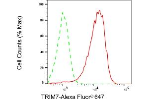 Flow cytometric analysis of TRIM7 expression in HeLa cells using TRIM7 antibody (ABIN7800643), 1:2,000). (TRIM7 antibody)