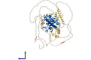 AlphaFold protein structure predicition of Human Recombinant KANSL3 Protein, UniprotID Q9P2N6