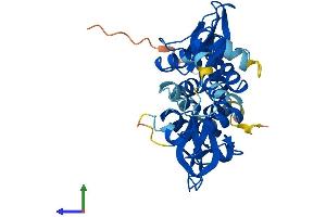 Protein Structure (PS) image for Protein Kinase, AMP-Activated, gamma 1 Non-Catalytic Subunit (PRKAG1) (AA 1-330) protein (His tag) (ABIN7562453)