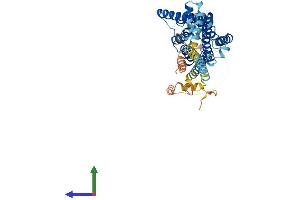 Protein Structure (PS) image for 5-Hydroxytryptamine (serotonin) Receptor 7 (Adenylate Cyclase-Coupled) (HTR7) (AA 1-448) protein (His tag) (ABIN7563134)