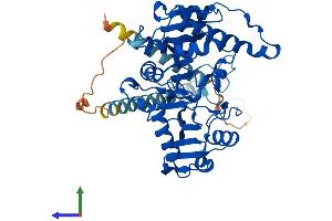 AlphaFold protein structure predicition of Mouse Recombinant Mgat1 Protein, UniprotID P27808